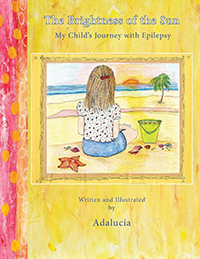 The Brightness of the Sun cover